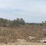  Land for sale in Culiacan, Sinaloa, Culiacan