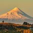  Terreno (Parcela) en venta en Llanquihue, Los Lagos, Frutillar, Llanquihue