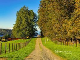  Terreno (Parcela) en venta en Llanquihue, Los Lagos, Frutillar, Llanquihue