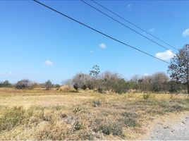  Land for rent in Penonome, Cocle, Penonome, Penonome