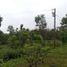  Land for sale in Santo Domingo De Los Colorados, Santo Domingo De Los Tsachilas, Santo Domingo De Los Colorados, Santo Domingo, Santo Domingo De Los Tsachilas