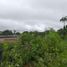  Land for sale in Santo Domingo De Los Colorados, Santo Domingo De Los Tsachilas, Santo Domingo De Los Colorados, Santo Domingo, Santo Domingo De Los Tsachilas