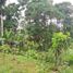  Land for sale in Santo Domingo De Los Colorados, Santo Domingo De Los Tsachilas, Santo Domingo De Los Colorados, Santo Domingo, Santo Domingo De Los Tsachilas