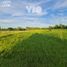  Land for sale in Colon, Entre Rios, Colon