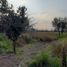 Terreno (Parcela) en venta en San Fernando, Chaco, San Fernando