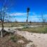  Land for sale in Parras, Coahuila, Parras