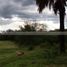  Land for sale in Cadereyta Jimenez, Nuevo Leon, Cadereyta Jimenez, Nuevo Leon