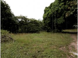  Land for sale in La Ermita, San Carlos, La Ermita