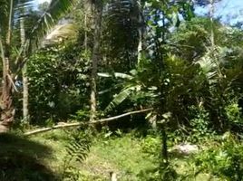  Land for sale in Cihideung, Tasikmalaya, Cihideung