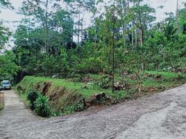  Tanah for sale in Ngargoyoso, Karanganyar, Ngargoyoso