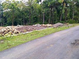  Land for sale in Yogyakarta, Pengasih, Kulon Progo, Yogyakarta