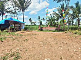  Land for sale in Kepanjen, Malang Regency, Kepanjen