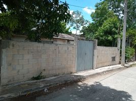  Grundstück zu verkaufen in Conkal, Yucatan, Conkal, Yucatan