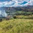  Land for sale in Quinara, Loja, Quinara, Loja, Loja