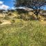  Land for sale in Quinara, Loja, Quinara, Loja, Loja