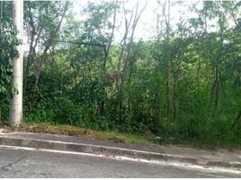  Land for sale in Central Visayas, Consolacion, Cebu, Central Visayas