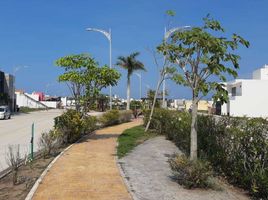 Maison 3 chambre à vendre à Coatzacoalcos, Veracruz, Coatzacoalcos