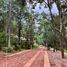  Terreno (Parcela) en venta en Mazamitla, Jalisco, Mazamitla