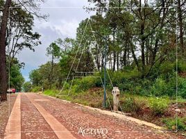  Terreno (Parcela) en venta en Mazamitla, Jalisco, Mazamitla
