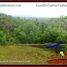  Land for sale in Selemadeg, Tabanan, Selemadeg