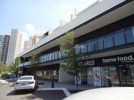Studio House for rent in Monterrey, Nuevo Leon, Monterrey
