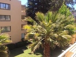 1 Habitación Apartamento en venta en Cordillera, Santiago, Puente Alto, Cordillera