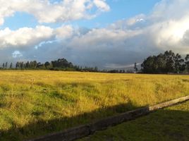  Land for sale in Alangasi, Quito, Alangasi