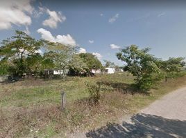  Land for sale in Tlalixcoyan, Veracruz, Tlalixcoyan
