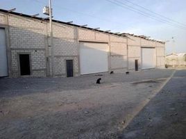 Estudio Casa en alquiler en Queretaro, Querétaro, Queretaro, Querétaro