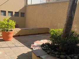 650 平米 Office for rent in 墨西哥, Guadalajara, Jalisco, 墨西哥
