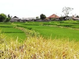  Grundstück zu verkaufen in Gianyar, Bali, Ubud