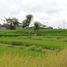  Tanah for sale in Ubud, Gianyar, Ubud