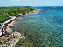  Grundstück zu verkaufen in Cozumel, Quintana Roo, Cozumel
