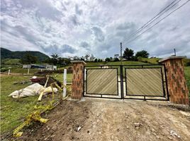  Terreno (Parcela) en venta en El Carmen De Viboral, Antioquia, El Carmen De Viboral