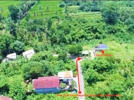  Land for sale in Buleleng, Bali, Seririt, Buleleng