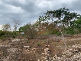  Terreno (Parcela) en venta en Merida, Yucatán, Merida