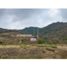  Land for sale in Montecristi, Manabi, Montecristi, Montecristi