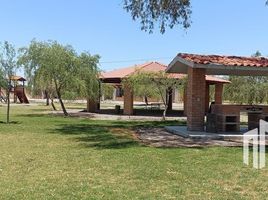  Grundstück zu verkaufen in Durango, Durango, Durango, Durango