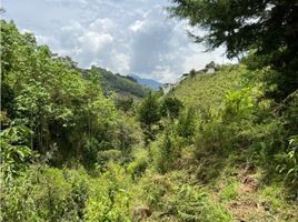 Terrain à vendre à Medellin, Antioquia, Medellin
