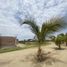  Land for sale in Piura, Piura, Piura, Piura, Piura