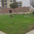  Grundstück zu verkaufen in Carabayllo, Lima, Carabayllo, Lima, Lima, Peru