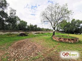  Grundstück zu verkaufen in Tequisquiapan, Queretaro, Tequisquiapan