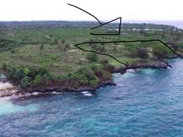  Land for sale in Moalboal, Cebu, Moalboal