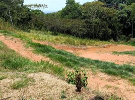  Land for sale in Jamundi, Valle Del Cauca, Jamundi