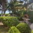  Grundstück zu verkaufen in Cozumel, Quintana Roo, Cozumel