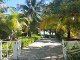  Grundstück zu verkaufen in Cozumel, Quintana Roo, Cozumel