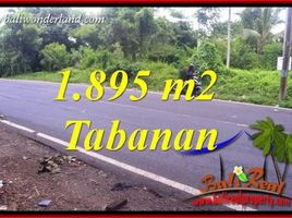  Land for sale in Selemadeg, Tabanan, Selemadeg