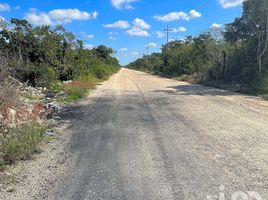  Terreno (Parcela) en venta en Progreso, Yucatán, Progreso