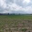  Land for sale in La Esperanza, Pichincha, La Esperanza