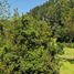  Terreno (Parcela) en venta en Chile, Valdivia, Valdivia, Los Ríos, Chile